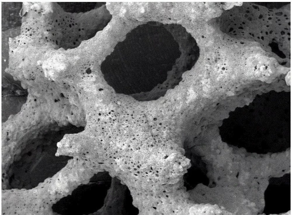 Microscopic Structure of FEELM Black Pottery Coated Atomized Core