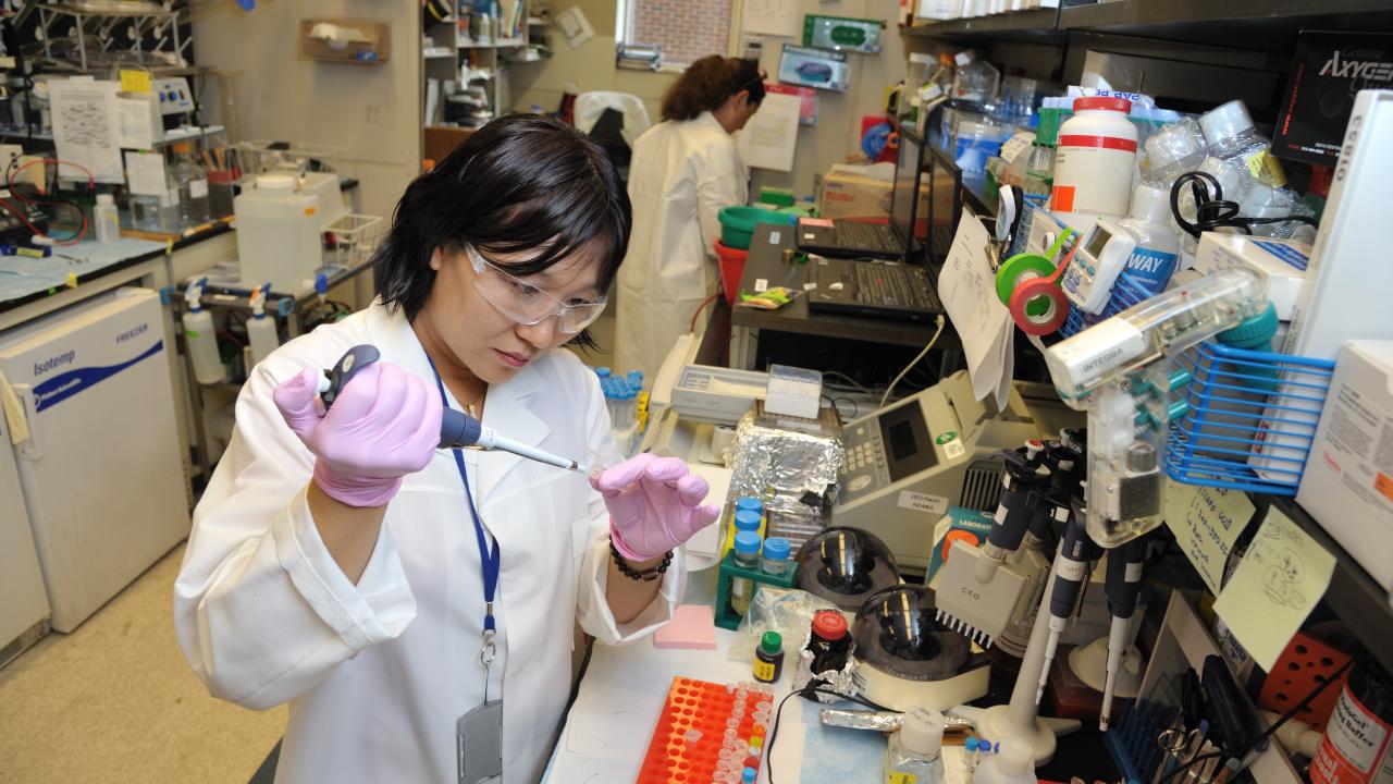 shared laboratory vape industry