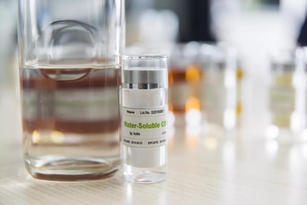 Water soluble CBD