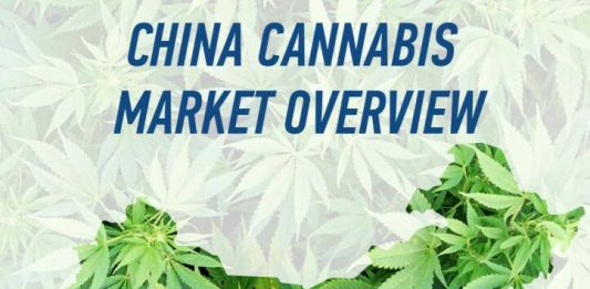 china canabis market overview
