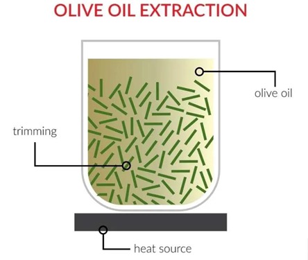Olive oil extraction