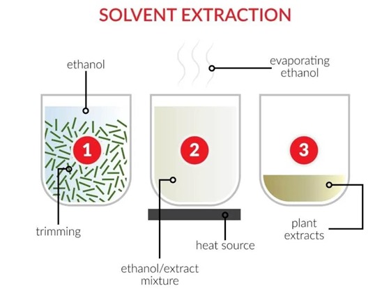 Solvent extraction cbd