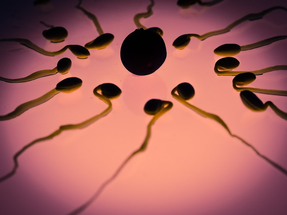 7 Ways To Increase Fertility In Women