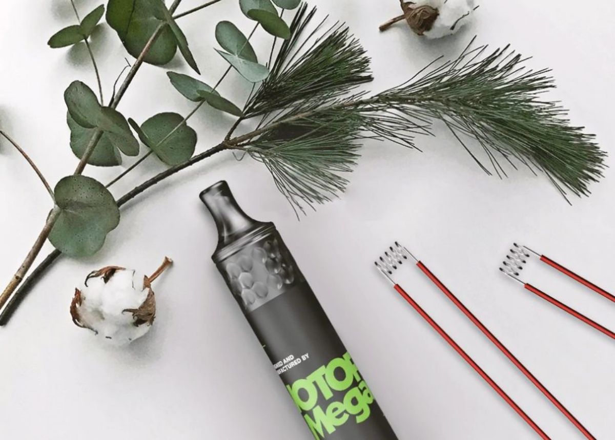 WOTOFO disposable vapes review