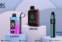 Maskking Vape: Paving the Way for a Greener Tomorrow in Vaping